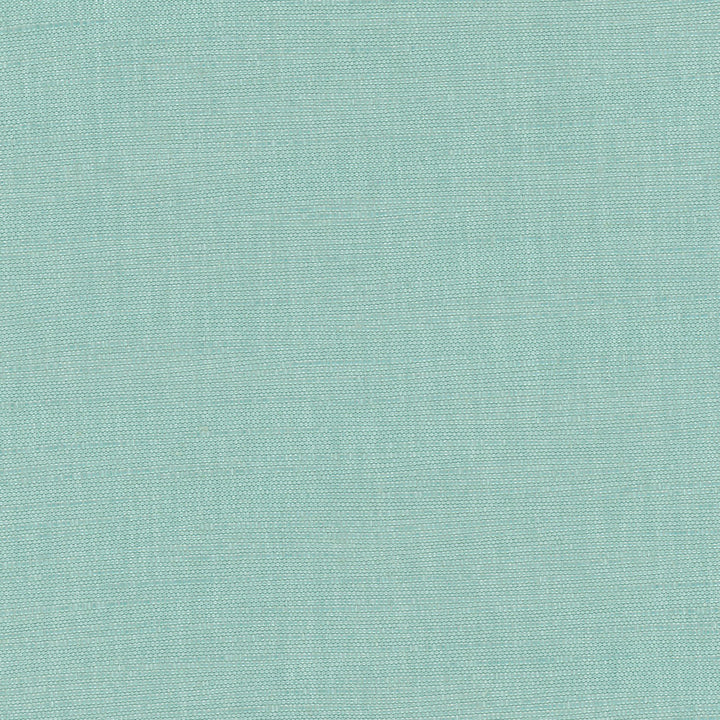 Athlete Spa by Carole Fabric Celadon 60% Cotton, 40% Polyester India Passes 50,000 Double Rubs Wyzenbeek Horizontal: 0 and Vertical: 0 55 - Fabric Carolina -