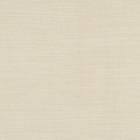 Boardroom Cotton by Carole Designer Fabric Power Play 100% IFR Hybrid Polyester 25,000 Wyzenbeek Double Rubs None 54" - Swanky Fabrics -