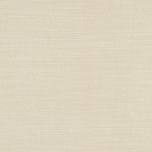 Boardroom Cotton by Carole Fabric