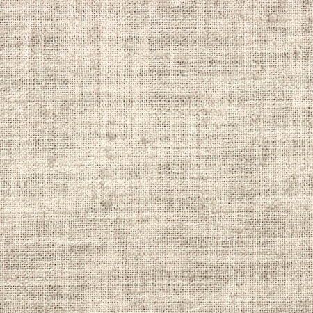Consultant Natural by Carole Fabric Toasted Almond 100% Polyester INDIA N/A None 54"  - Fabric Carolina -