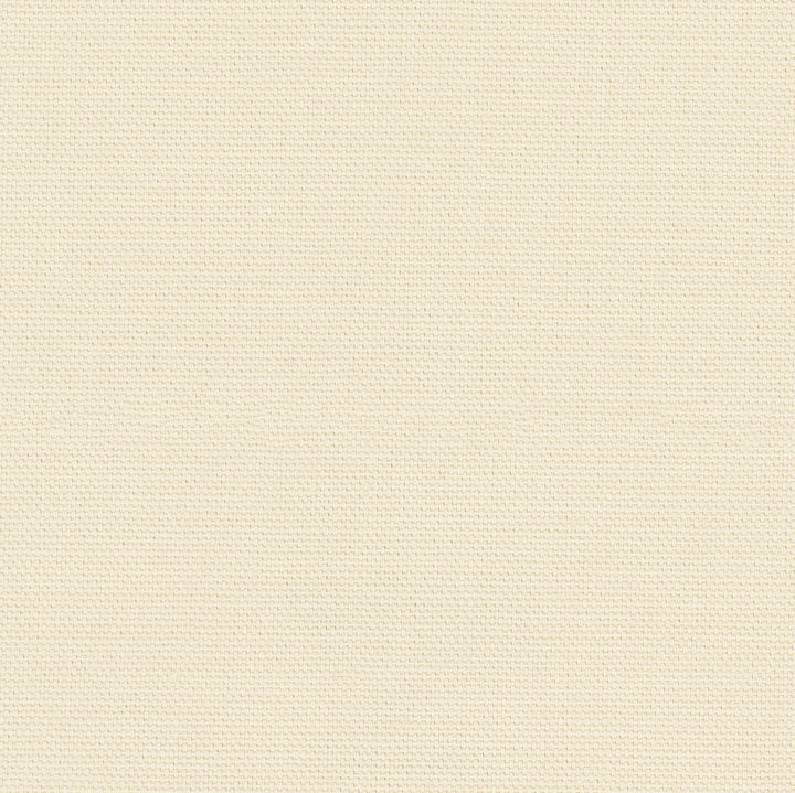 Daydreamer Canvas by Carole Fabric Daydreaming 100% Cotton- Soil Release USA Passes 30,000 Double Rubs Wyzenbeek Horizontal: 0 and Vertical: 0 54 - Fabric Carolina -