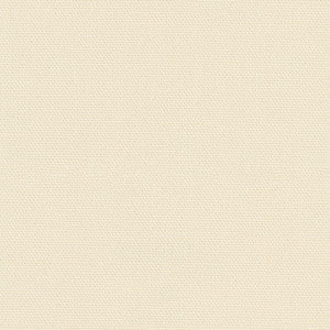 Daydreamer Canvas by Carole Fabric