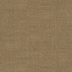 Cortland Coffee by Carole Fabric