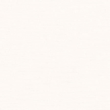 Liberty White by Carole Designer Fabric Liberty,Liberty II 100% Polyester India None 54" - Swanky Fabrics -
