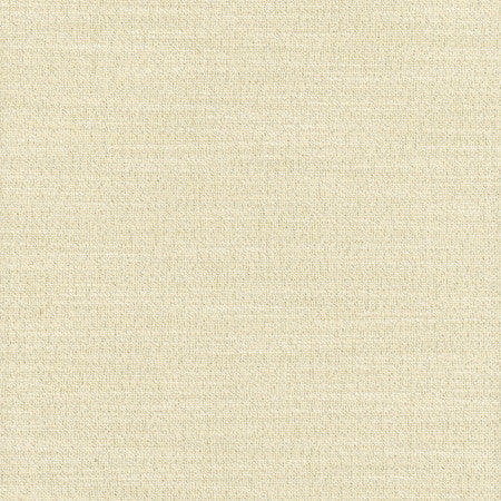 Say Yes Shimmer by Carole Designer Fabric WINNER'S CIRCLE 78% Polyester, 22% Viscose India N/A Horizontal: None and Vertical: None 55" - Swanky Fabrics -