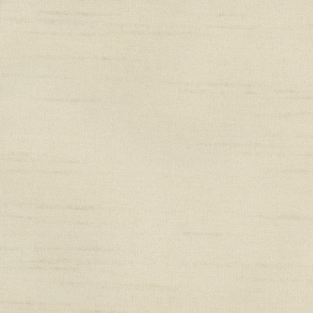 Fleeting Oyster by Carole Designer Fabric Royale 100% Polyester India Passes 50,000 Double Rubs Wyzenbeek Horizontal: None and Vertical: None 54" - Swanky Fabrics -