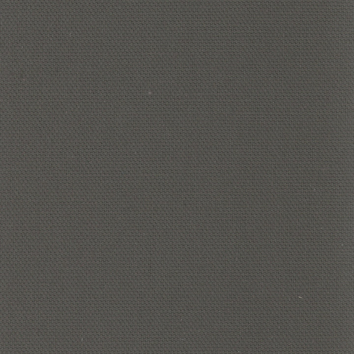 Daydreamer Charcoal by Carole Fabric Daydreaming 100% Cotton- Soil Release USA Passes 30,000 Double Rubs Wyzenbeek Horizontal: 0 and Vertical: 0 54 - Fabric Carolina -