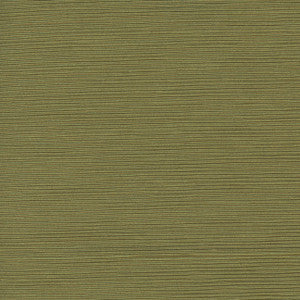 First Novel Spring Green by Carole Fabric