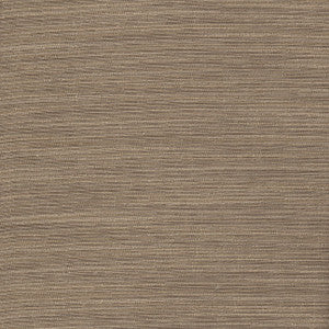 Diligence Driftwood by Carole Fabric