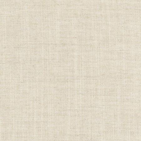 Aerial Flax by Carole Designer Fabric Opal 100% Polyester India Passes 50,000 Double Rubs Wyzenbeek </p><p>Repeat: None 56" - Swanky Fabrics -