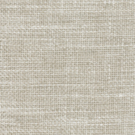 Lazarus Feather by Carole Fabric Prominence 54% Cotton, 46% Polyester India  None 54"  - Fabric Carolina -