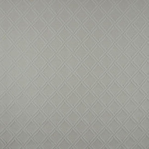 Asner Snow by Carole Fabric