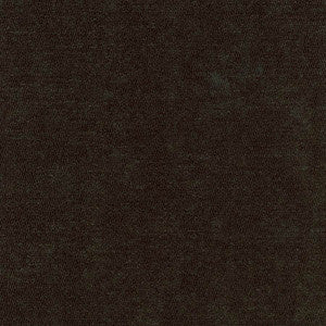 Bright Future Onyx by Carole Fabric