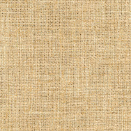 Consultant Sunbaked by Carole Fabric Sunbaked 100% Polyester INDIA N/A None 54"  - Fabric Carolina -