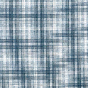 Newsworthy Water by Carole Fabric