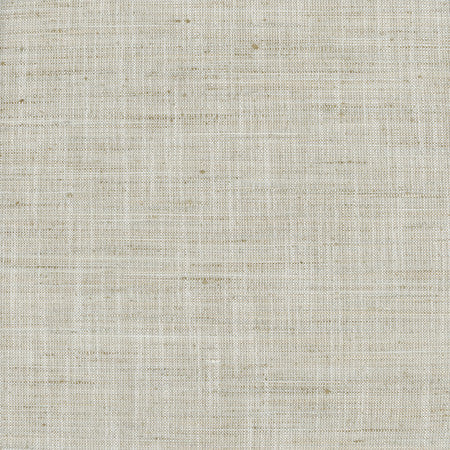 There For You Flax by Carole Fabric Alliance 100% Polyester India  None 55""  - Fabric Carolina -