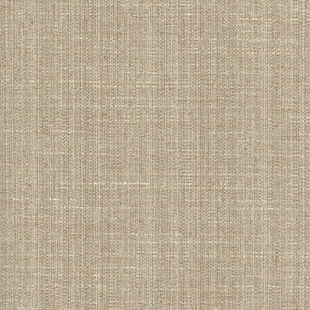 Rock Wall Shale by Carole Fabric Chestnut 83% Polyester, 12% Cotton, 5% Rayon India N/A Horizontal: None and Vertical: None 55" - Fabric Carolina -