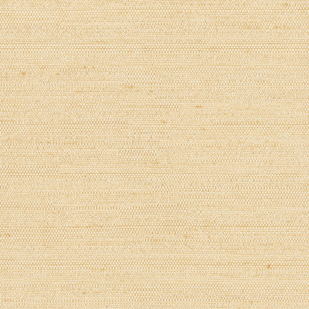 Aiden Bone by Carole Designer Fabric Aiden Gallery,Chestnut,Subtle Hints 100% Polyester INDIA PASSES 30,000 DOUBLE RUBS WYZENBEEK None 56" - Swanky Fabrics -