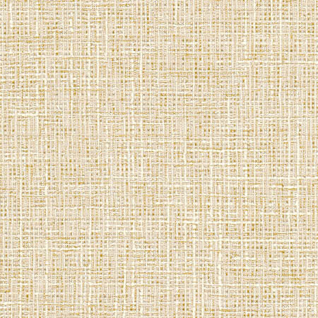 Adjuster Parchment by Carole Fabric Sunbaked 62% Polyester, 32% Cotton, 6% Viscose INDIA 27,000 Wyzenbeek Double Rubs None 54"  - Fabric Carolina -