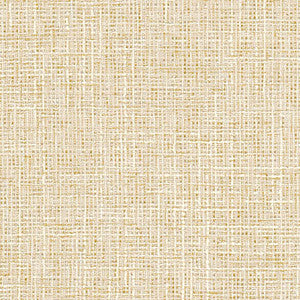 Adjuster Parchment by Carole Fabric