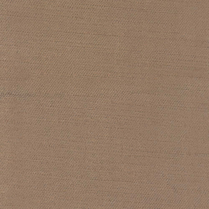 Red Hot Mushroom by Carole Fabric Velvet Touch 60% Cotton, 40% Rayon China Passes 25,000 Double Rubs Wyzenbeek Horizontal: 0 and Vertical: 0 56 - Fabric Carolina -