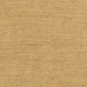 Training Day Mustard by Carole Fabric