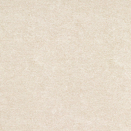 <p>Interior Canvas by Carole Fabric</p><p><strong>Required Minimum Quantity Purchase: 2 yards</strong></p><p>Book: Quiet Luxury</p><p>Content: 72% Polyester, 28% Cotton</p><p>Origin: </p><p>Performance: N/A</p><p>Repeat: None</p><p>Width: 54""</p>