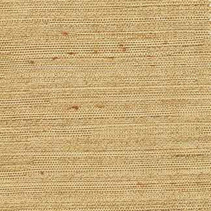 Aiden Camel by Carole Fabric