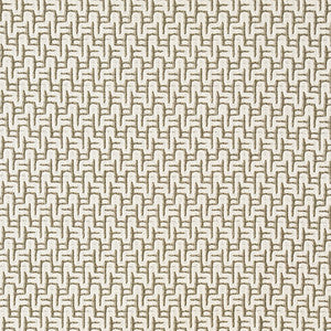 Straight Ahead Aloe by Carole Fabric
