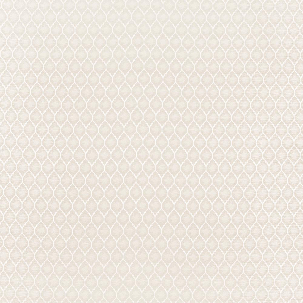 Girls Night Out Ivory by Carole Fabric Winner'S Circle 100% Polyester Turkey Passes 15,000 Double Rubs Wyzenbeek Horizontal: 15 and Vertical: 25 55 - Fabric Carolina -