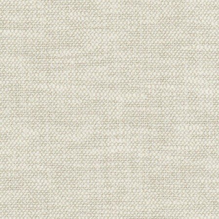 Overacting Alabaster by Carole Fabric Opal 72% Polyester, 28% Cotton India N/A None 55"  - Fabric Carolina -
