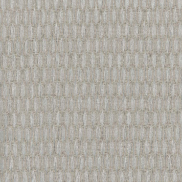 Light It Up Linen by Carole Fabric Sheer Divine 100% Polyester Turkey N/A Horizontal: 5 and Vertical: 125 118 - Fabric Carolina -