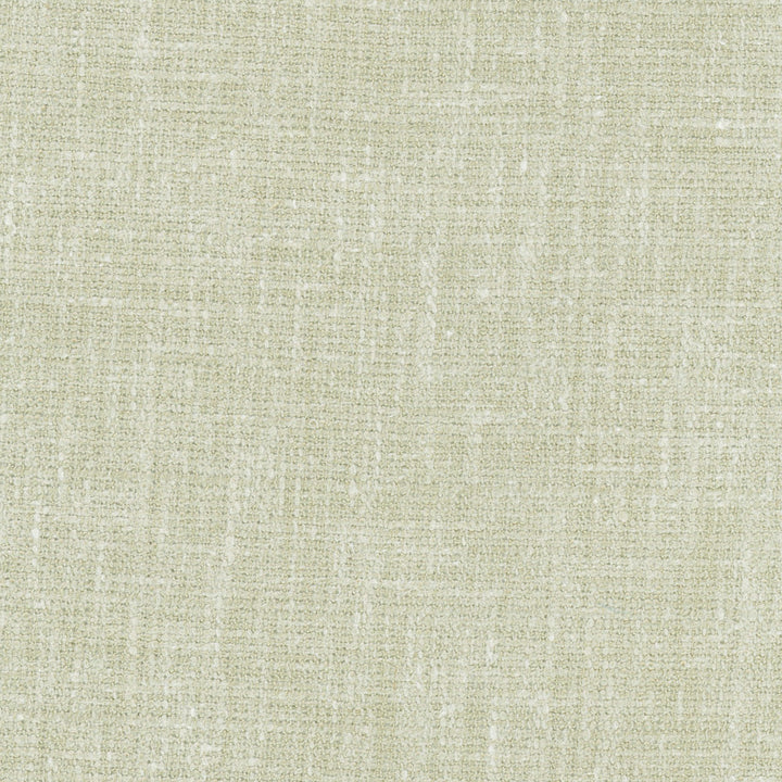 Inner Child Cactus by Carole Fabric Celadon 66% Polyester, 21% Cotton, 13% Linen India Passes 15,000 Double Rubs Wyzenbeek Horizontal: 0 and Vertical: 0 54 - Fabric Carolina -