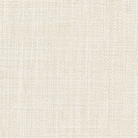 Fall Point Sand Dollar by Carole Fabric On POint 43% Polyester, 19% Linen, 19% Cotton, 19% Rayon INDIA 100,000 Wyzenbeek Double Rubs Horizontal: None and Vertical: None 54" - Fabric Carolina -