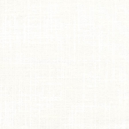 Sidewalk Snow by Carole Designer Fabric Abode 100% Polyester India 100,000 Wyzenbeek Double Rubs None 54" - Swanky Fabrics -
