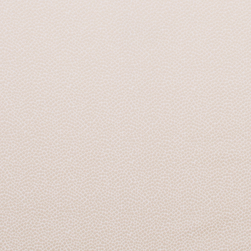 Armadillo Cream by Carole Fabric Jungle Safari 100% Polyester India N/A Horizontal: 0 and Vertical: 0 54 - Fabric Carolina -