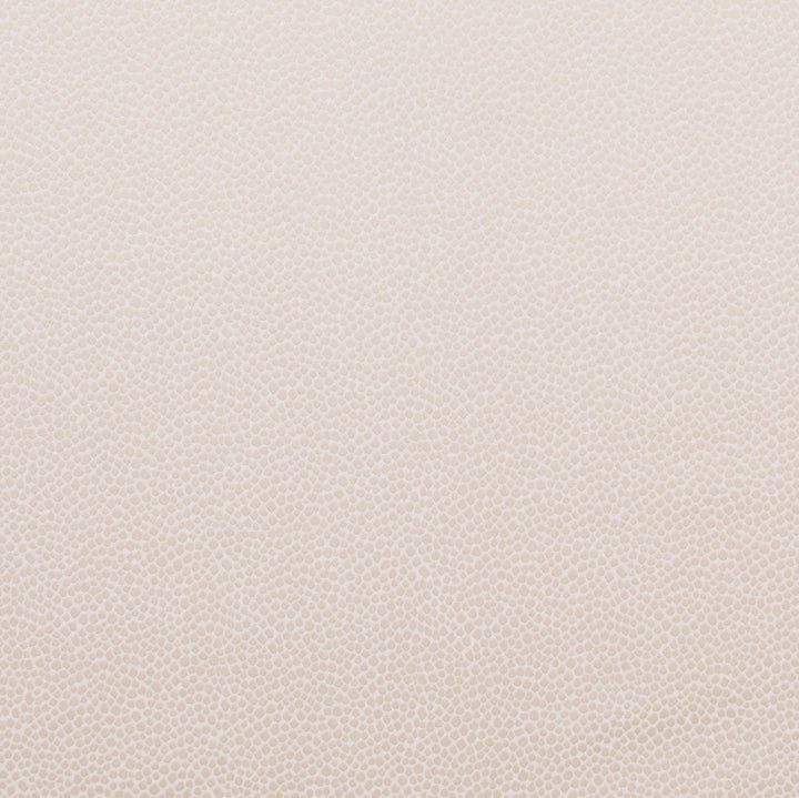 Armadillo Cream by Carole Fabric Jungle Safari 100% Polyester India N/A Horizontal: 0 and Vertical: 0 54 - Fabric Carolina -