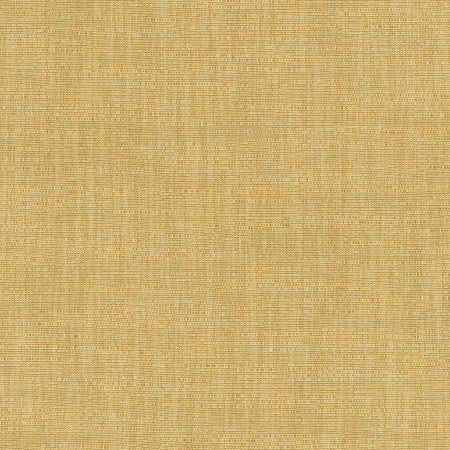 Athlete Brass by Carole Fabric Chestnut 60% Cotton, 40% Polyester India Passes 50,000 Double Rubs Wyzenbeek Horizontal: None and Vertical: None 55" - Fabric Carolina -