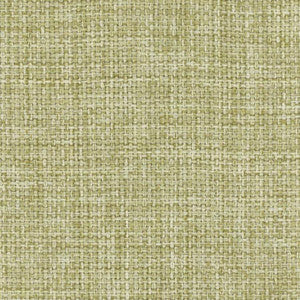Director's Cut Grass by Carole Fabric