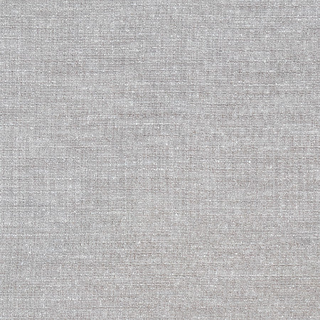 Sensational Pewter by Carole Fabric Best Dressed 100% Polyester N/A None 54" - Fabric Carolina -