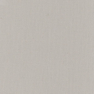 Daydreamer Silver by Carole Fabric