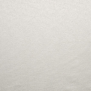 Gravel Path Pearl Grey by Carole Fabric