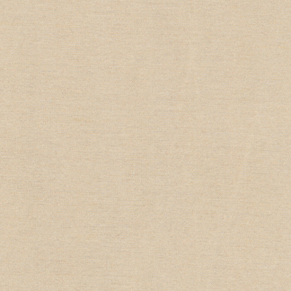Northwind Pebble by Carole Fabric New Northwind Iv 100% Polyester India Passes 9,000 Double Rubs Wyzenbeek Horizontal: 0 and Vertical: 0 54 - Fabric Carolina -