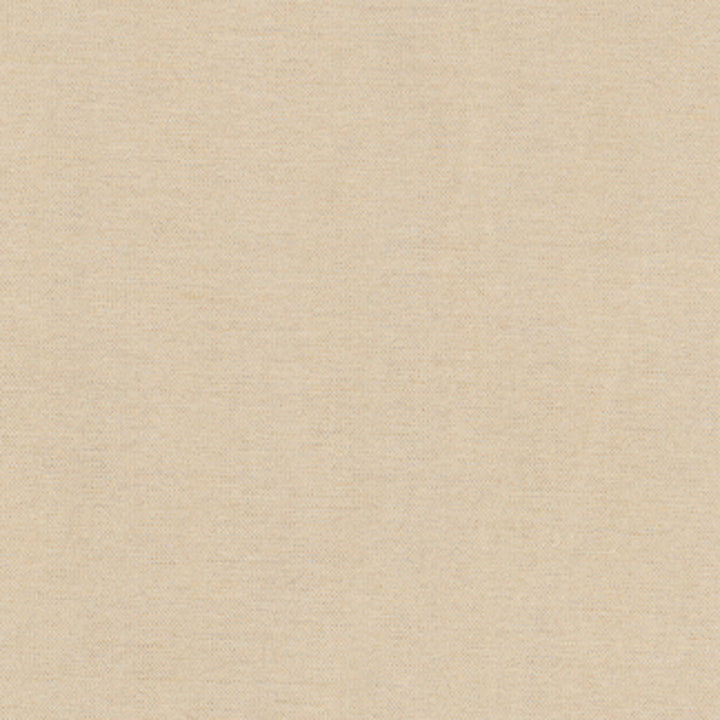 Northwind Pebble by Carole Fabric New Northwind Iv 100% Polyester India Passes 9,000 Double Rubs Wyzenbeek Horizontal: 0 and Vertical: 0 54 - Fabric Carolina -