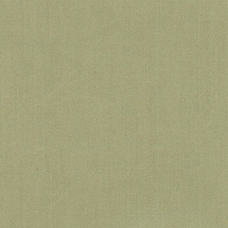 Tempt Moss by Carole Fabric Royale 100% IFR Polyester India Passes 45,000 Double Rubs Wyzenbeek Horizontal: None and Vertical: None 54" - Fabric Carolina -