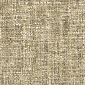 Amare Jute by Carole Fabric