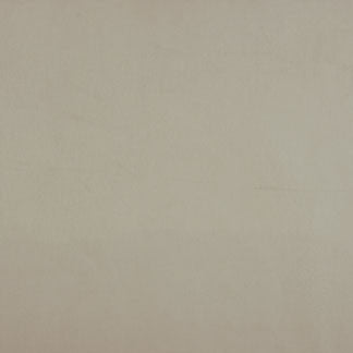 Memory House Champagne by Carole Fabric Natural Elements 100% Cotton India N/A </p><p>Repeat: None 56" - Fabric Carolina -