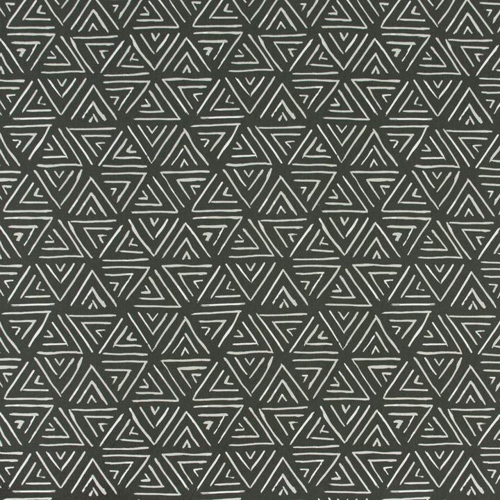 Travel Plans Charcoal by Carole Fabric Silver Fox 100% Cotton USA Passes 30,000 Double Rubs Wyzenbeek Horizontal: 135 and Vertical: 135 54 - Fabric Carolina -