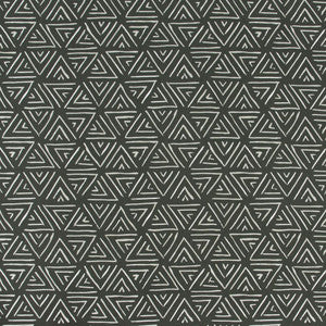 Travel Plans Charcoal by Carole Fabric