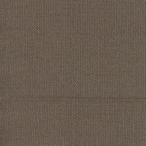 Succulent Coffee Bean by Carole Fabric